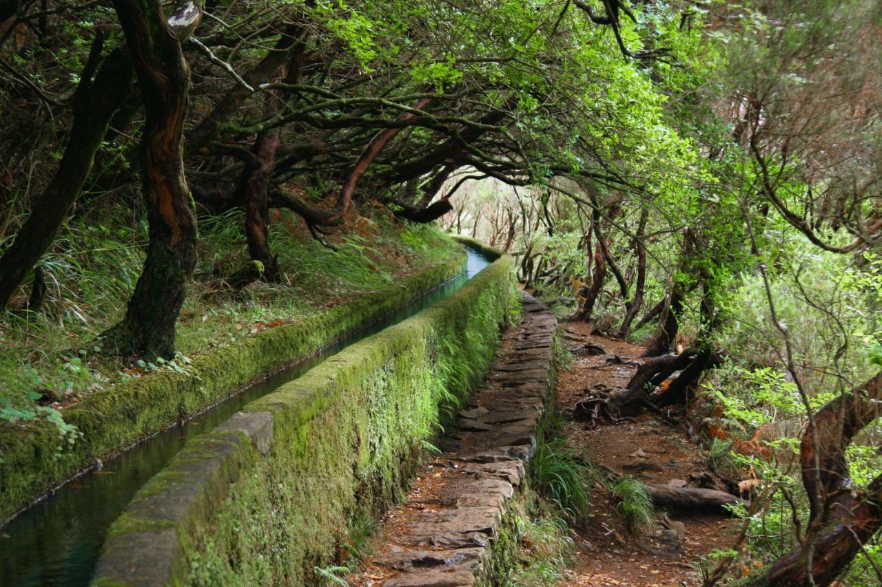 Dom wakacyjny Lucilia's House Calheta (Madeira)
